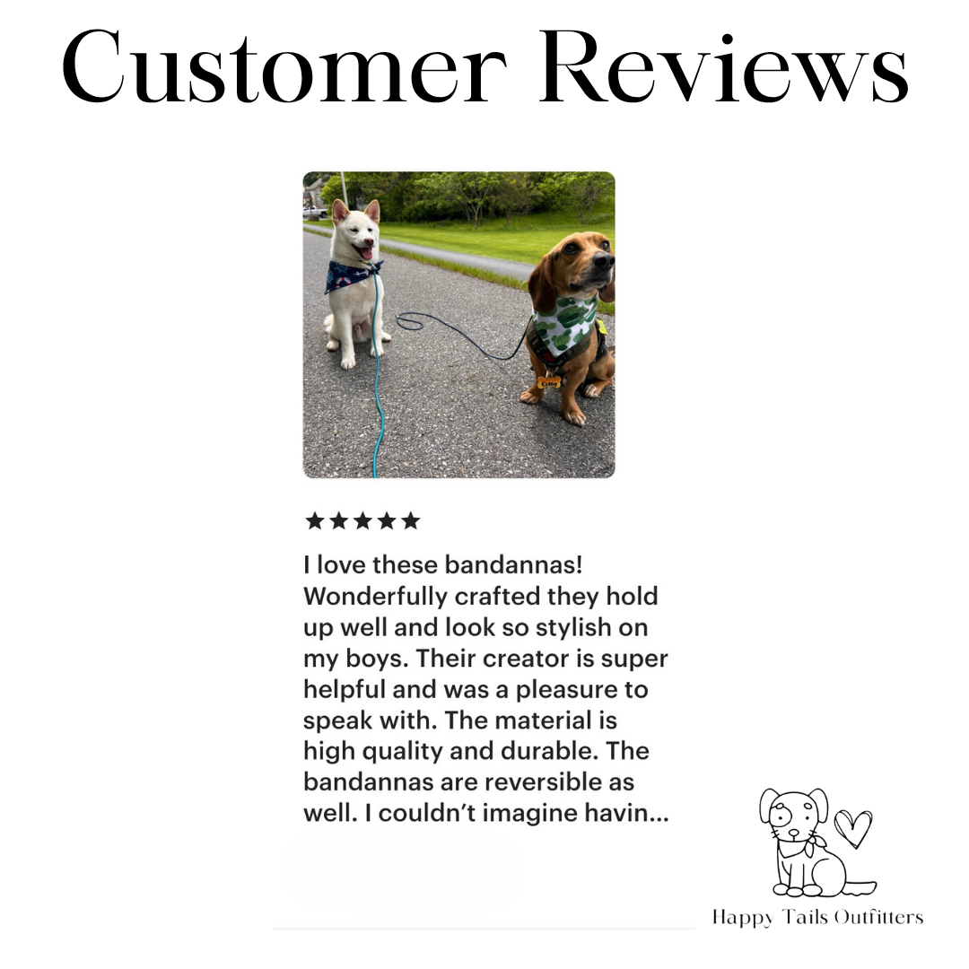 Nautical Dog Bandana New Arrivals