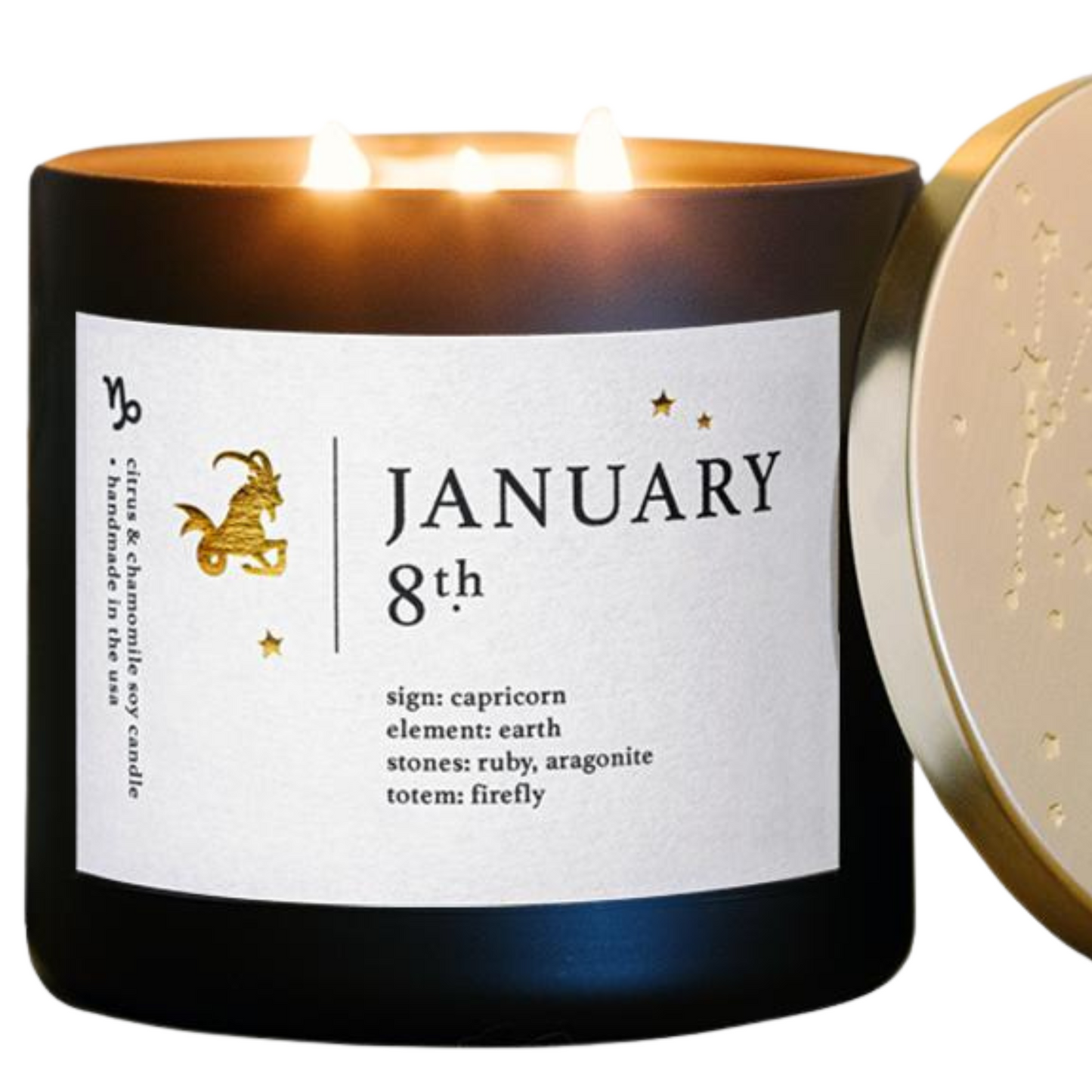 January Birthdate Zodiac Candles