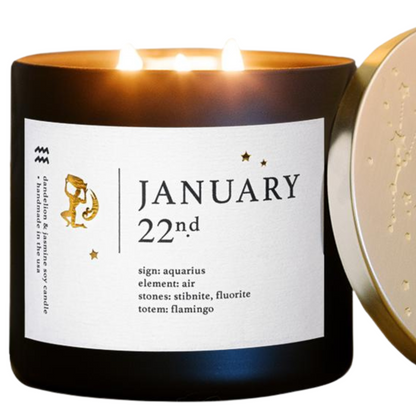 January Birthdate Zodiac Candles