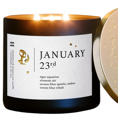 January Birthdate Zodiac Candles