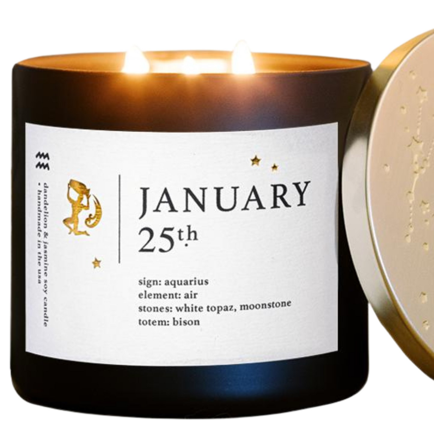 January Birthdate Zodiac Candles