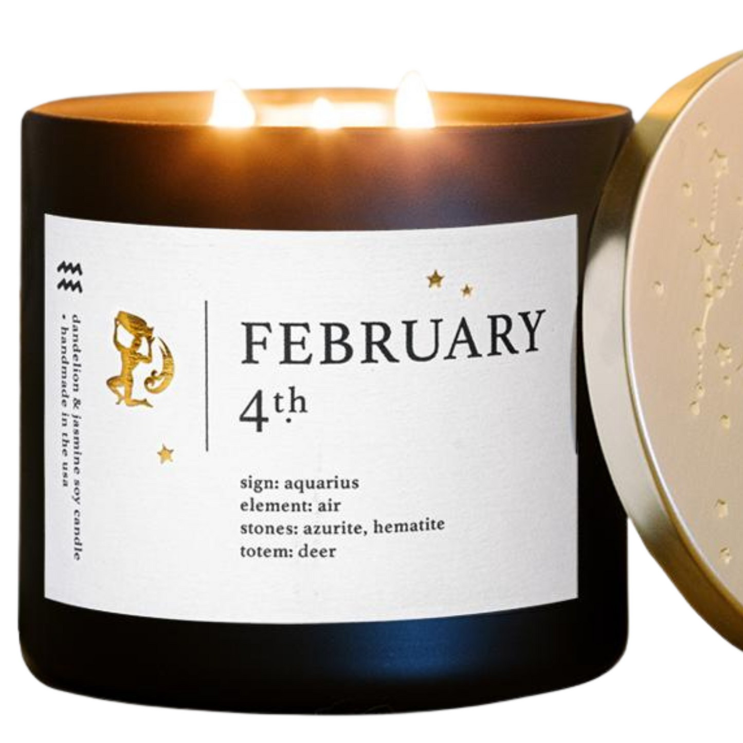 February Birthdate Zodiac Candles