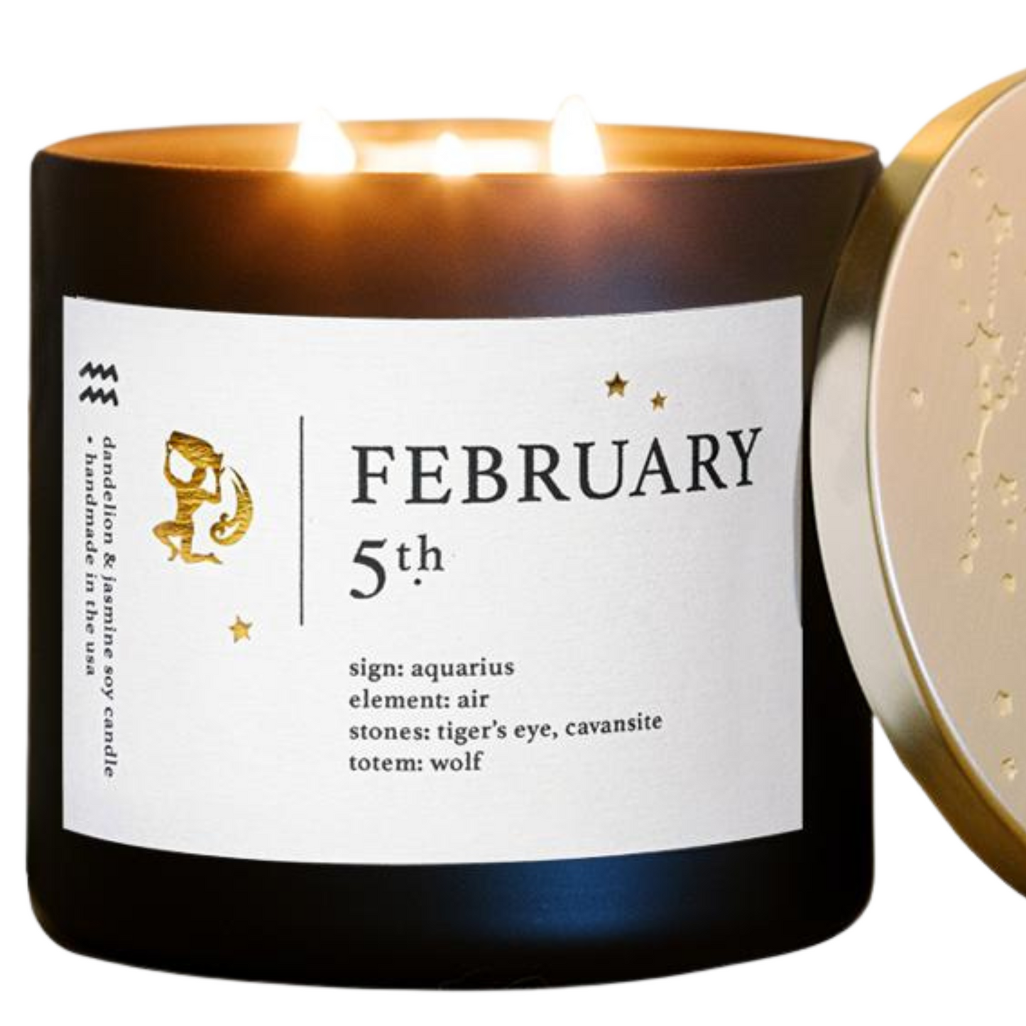 February Birthdate Zodiac Candles