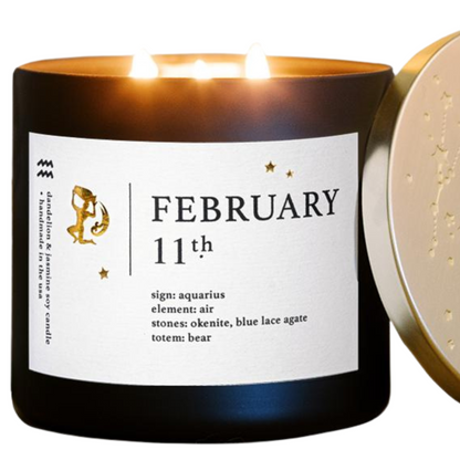 February Birthdate Zodiac Candles