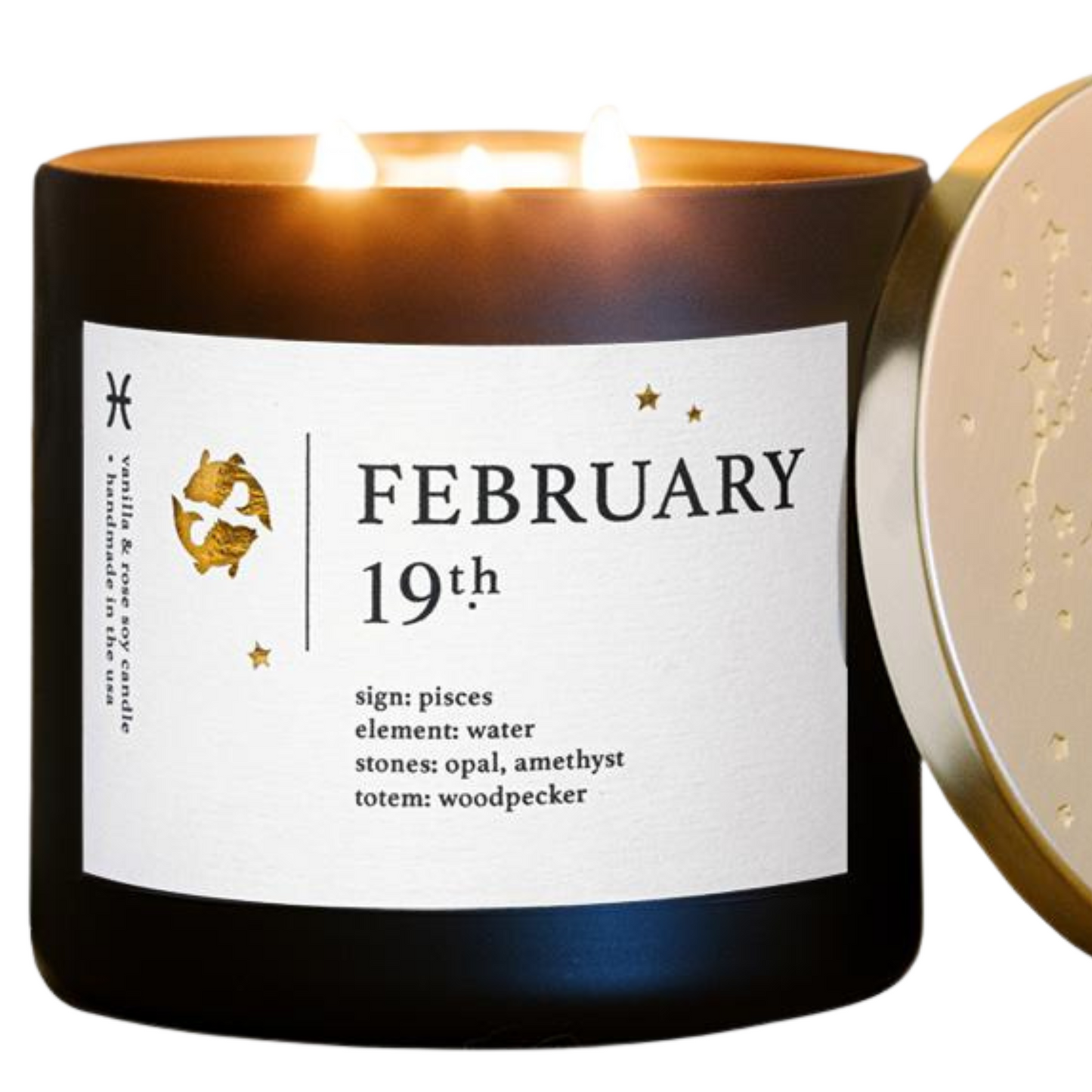 February Birthdate Zodiac Candles