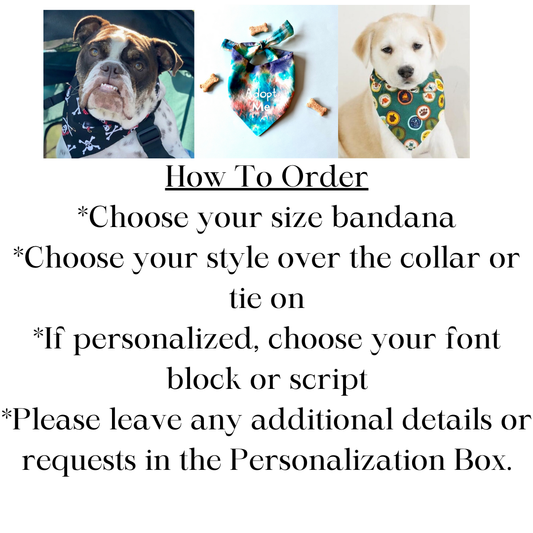 Starfish Dog Bandana