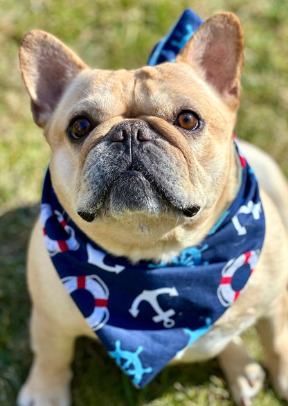 Nautical Dog Bandana New Arrivals