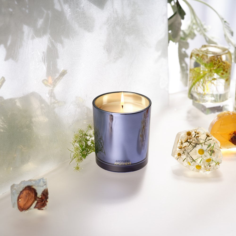 Cardamom Chestnut Classic Candle