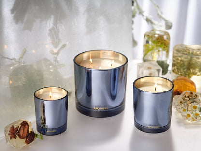 Cardamom Chestnut 3-Wick Candle