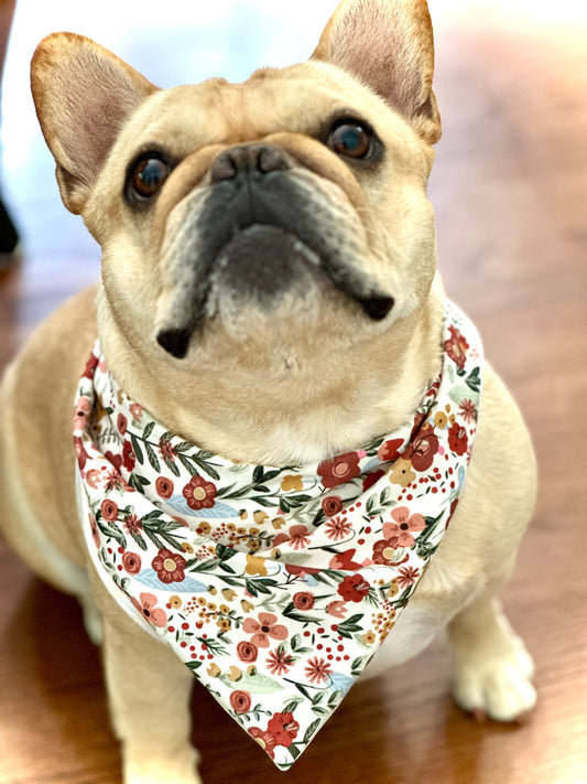 Floral Dog Bandana