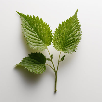 Your Wildest Greens®