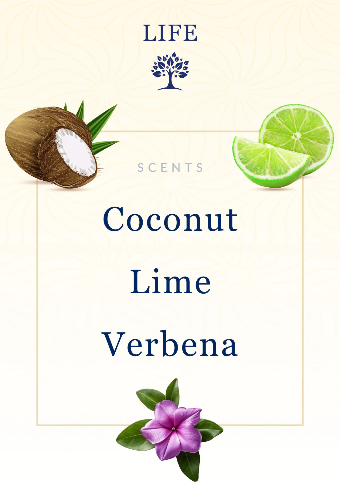 Life Bible Candle - Coconut, Lime & Verbena Scent with Hidden Verses