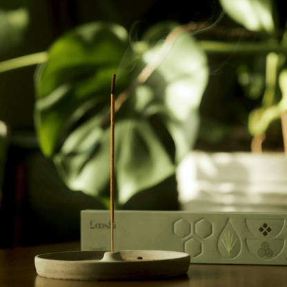Rewild Incense