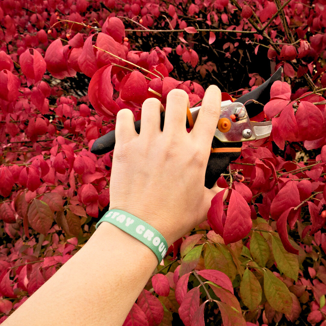 Stay Grounded Bracelet