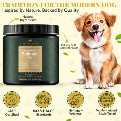 Calming Bites for Dogs – Stress & Anxiety Relief
