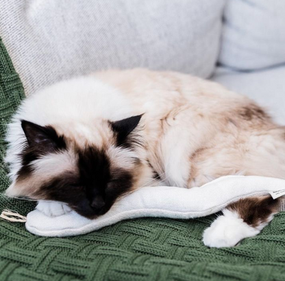 Boba & Vespa Snake Toy for Cats in Cotton with Buckwheat Crinkles and Organic Catnip