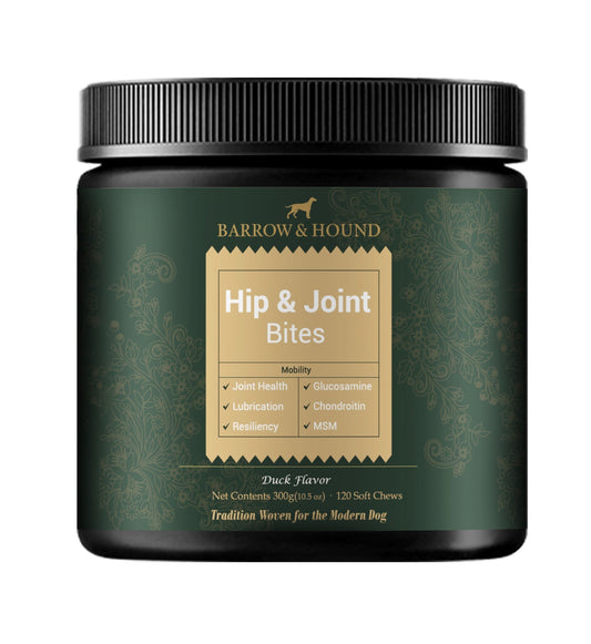 Hip & Joint Supplement for Dogs – Mobility Support for All Breeds
