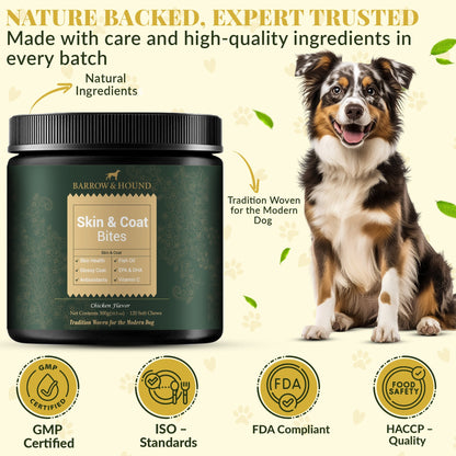 Skin & Coat Bites for Dogs – Shine, Strength & Allergy Relief